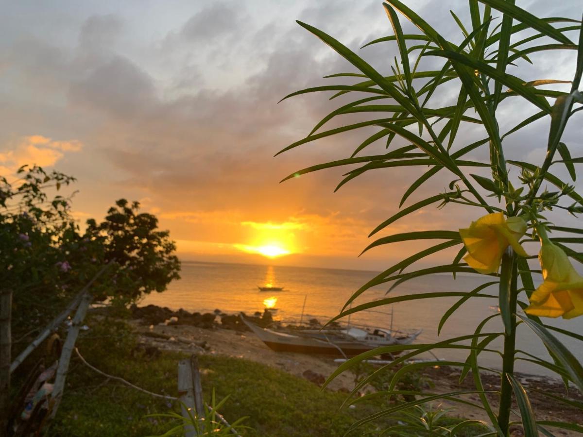 Gigante Island Homestay - Balay Sa Gigante Carles Esterno foto